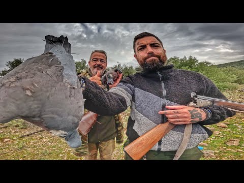 Hunting (Wood Pigeon, Duck, Song Thrush, Blackbird) | Catch And Cook
