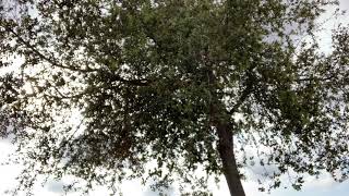 日本の保守は情弱過ぎるぞ！