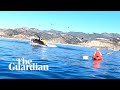 Kayakers nearly swallowed by humpback whale in California