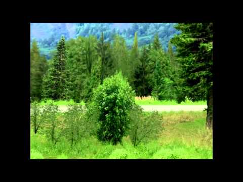 Dimitar Rosenov TEST - Peugeot 207 S2000