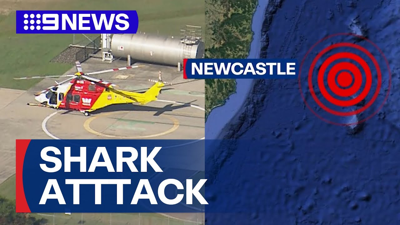 Fisherman thought to have been taken by shark off NSW coast | 9 News Australia