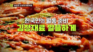 데일리팜, 농업의 신세계 유통혁명 알뜰한 김장으로 월동준비!