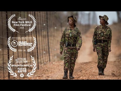 download lagu mp3 mp4 Black Mamba Anti Poaching Group, download lagu Black Mamba Anti Poaching Group gratis, unduh video klip Black Mamba Anti Poaching Group