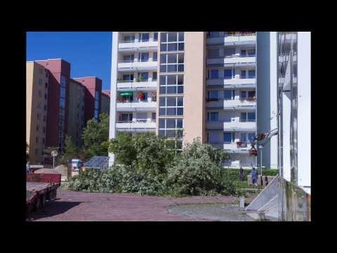 Plettzentrum-Baumfällung für das LAO-Haus