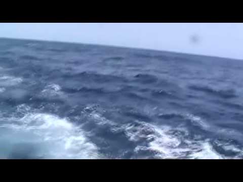 marlin a boavista completo