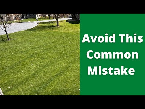 How to Apply Fertilizer Without Leaving Dark Green Lines