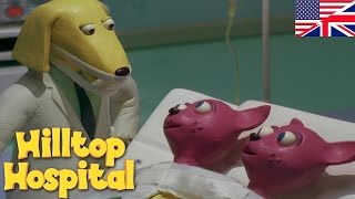 Hilltop Hospital -  Siamese Twins S04E11 HD  Carto