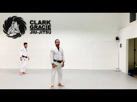 Hair Pulling Self Defense with Sinistro