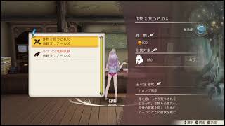 ［可愛い娘がいっぱい］ルルアのアトリエ［PS4］