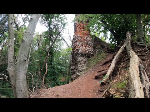 Stempelstelle 208 Burgruine Grillenberg - Harzer Wandernadel