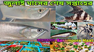 জুলাই মাসের শেষ সপ্তাহের কালেকসান | Serampore Pet Market | Serampore Fish Market | Fish Market 