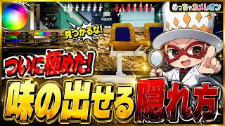 ついに隠れ方を極めました【めっちゃカメレオン】