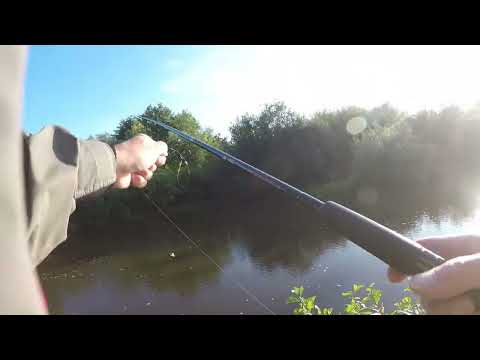 Rhyl and St Asaph Angling Association