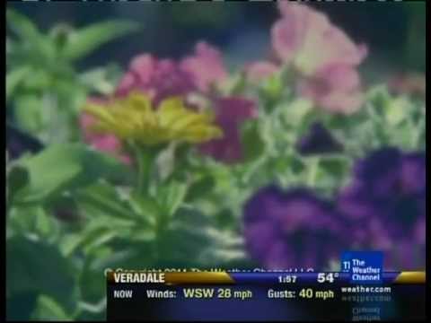 TWC IntelliSTAR LDL Error + Satellite Local Forecast- Spokane, WA- Apr. 11, 2011- 1:57PM PDT