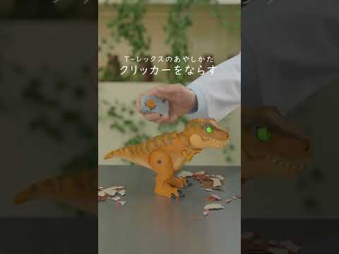 【うまれて！ウーモ ジュラシック・ワールド T-レックスエッグ】たまごから生まれたT-レックスと遊んでみよう！