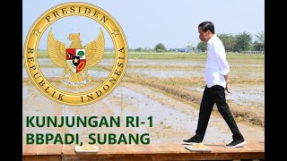 Download lagu [FULL] PRESIDEN JOKOWI KUNJUNGAN KE BBPADI & PASAR SUKAMANDI. mp3