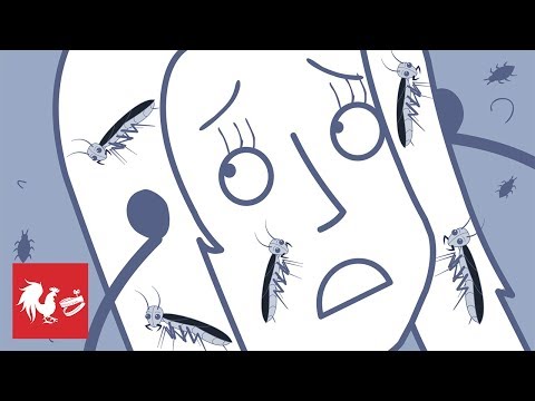 That's a Lotta Roaches - Rooster Teeth Animated Adventures