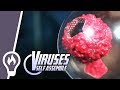 12 magnets show how viruses are built