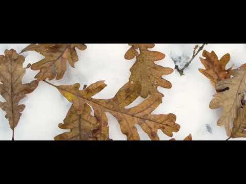 ZETAK - Itzulera (Urdaneta)