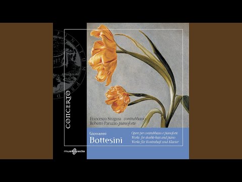 Fantasia su "La Sonnambula" di Bellini