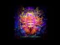 Shpongle - Museum of Consciousness [Full ...