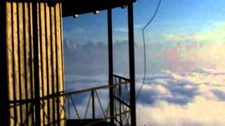 Tautou (by Brand New)