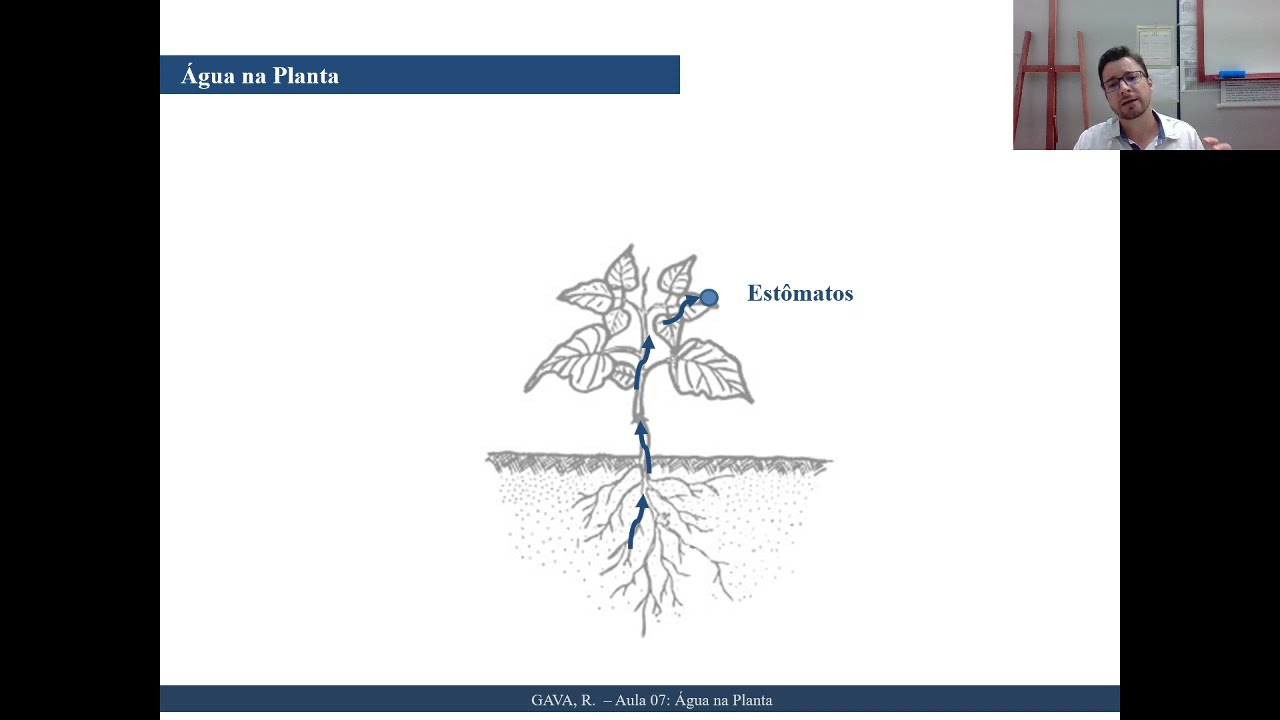 Módulo 07 - Água no Sistema Solo-Planta-Atmosfera