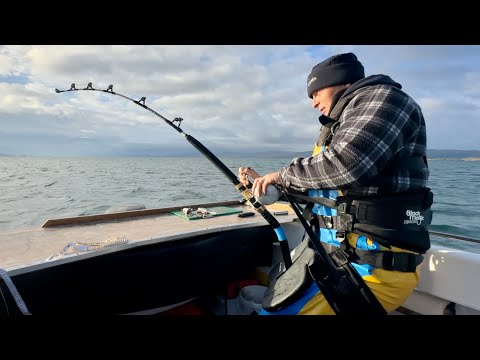 Sea Fishing UK - Small Boat Big Fish - Over 1000lb of fish in 3 hours!!! | The Fish Locker