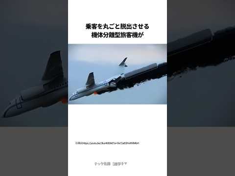 Leduc (飛行機)について詳しく解説