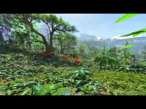 amazing beautiful nature