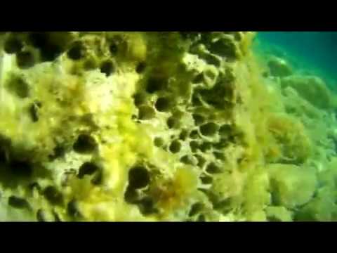 Crotia Živogošče - Chorvatsko v létě