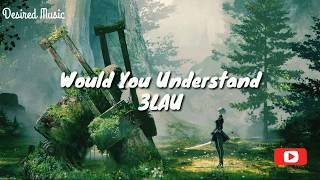 Would You Understand - 3LAU - (audio)