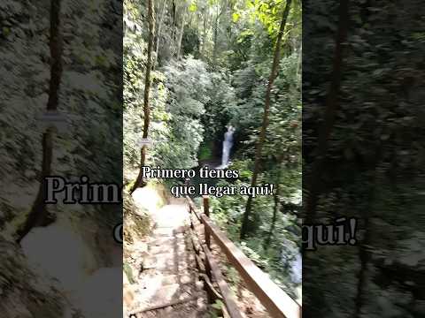 De la carretera a este paraíso en solo unos pasos 🌿 #GonzaloPizarro #Sucumbios #turismoecuador