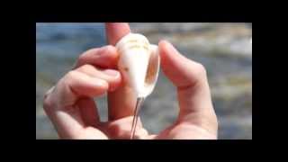 George Benson - Footprints In The Sand | Отдых На Кипре | Жизнь На Кипре | Kiprus | Сергей и Евгения