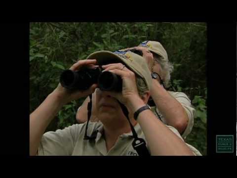 鳥迷迷賞鳥(Birding Contest, Crazy About Birds - Texas Parks and Wildlife [Official])