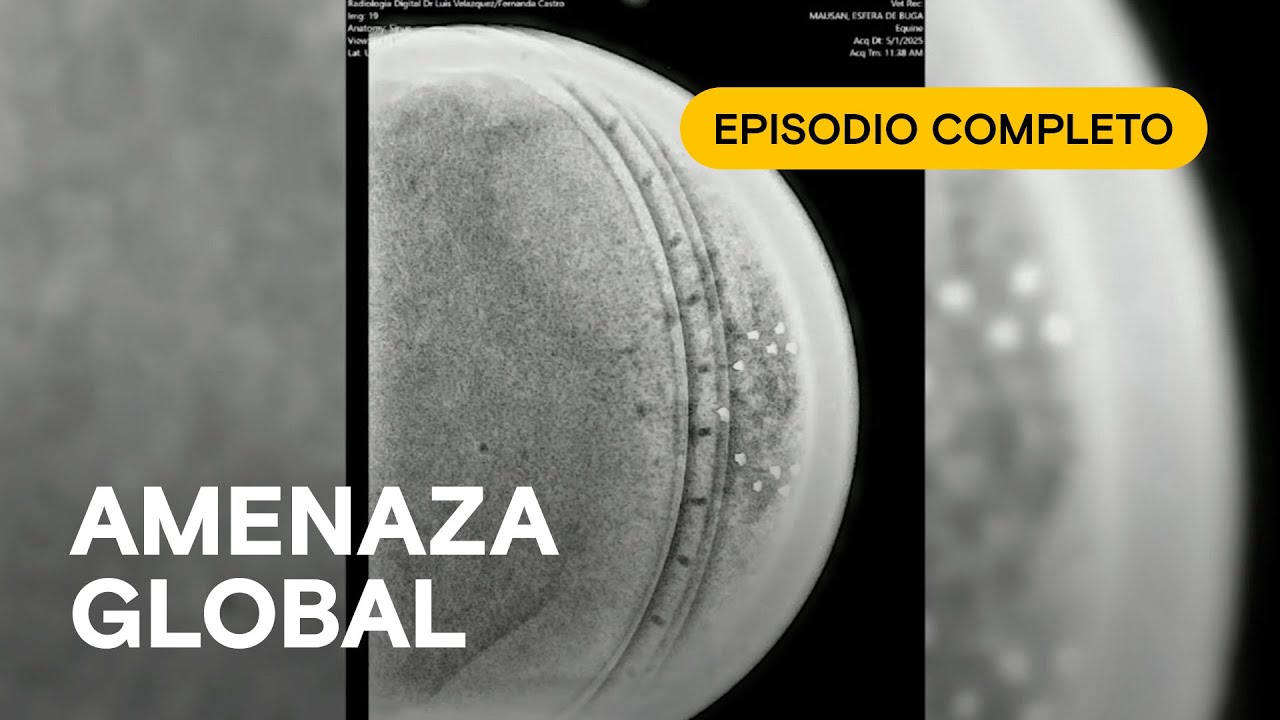 ❗Raudal de esferas en el mundo: ¡El fenómeno de Buga se multiplica! - NO HUMANO