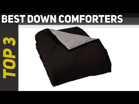 ✅ Top 3 Best Down Comforters Reviews 2023?
