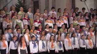 Una vita da bradipo - Coro Calicantus