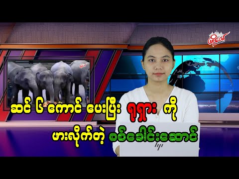 ဆင် ၆ ကောင်ပေးပြီး ရုရှားကို ဖားလိုက်တဲ့ စစ်ခေါင်းဆောင်