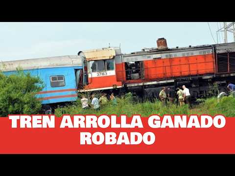 😱 ¡INSÓLITO! Tren ARROLLA vacas ROBADAS: El DESASTRE de Las Tunas 🐄