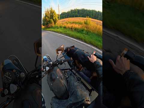 СЕГОДНЯ БЫЛ ХОРОШИЙ ДЕНЬ! #немецкаяовчарка #мото #мотоциклурал