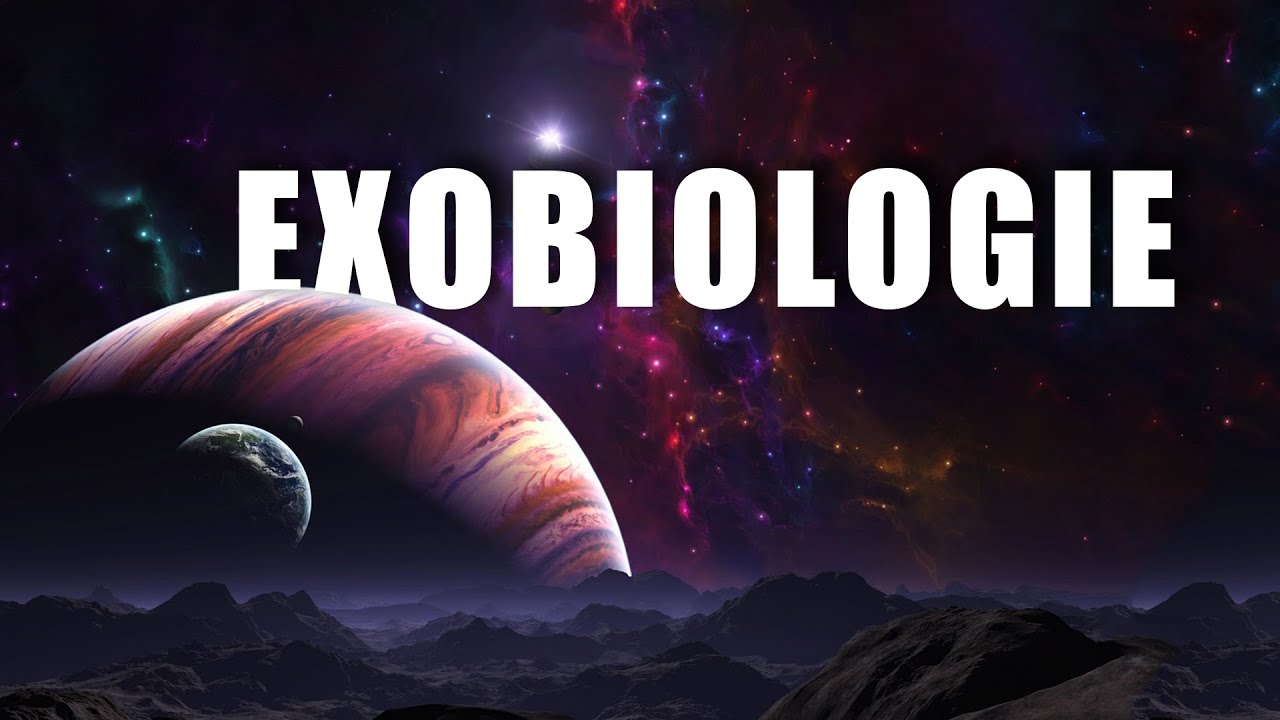 EXOBIOLOGIE – EN QUÊTE D'UNE VIE EXTRATERRESTRE ! LDDE EXOBIOLOGIE – EN QUÊTE D'UNE VIE EXTRATERRESTRE ! LDDE