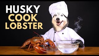 Husky Chef Shows How to Cook Cheesy Grilled Lobster