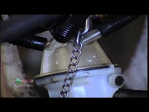 Picking Silage Corn #671 (Air Date 2/13/11)