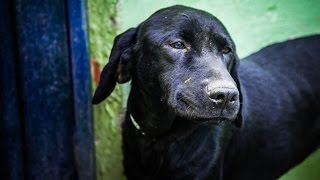 Help us to save more lives