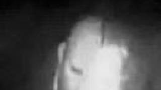 Sopor Aeternus - Ich Wollte Hinaus In Den Garten