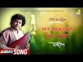 Pub Hawate Dey Dola | Rabindra Sangeet | Audio Song | Sandip Bhattacharjee