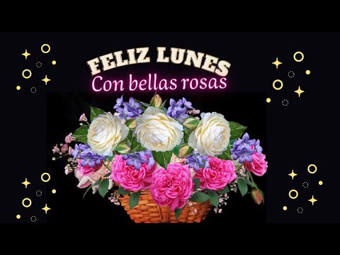 Feliz Lunes Buenos Días Con Bellas Rosas Para Ti