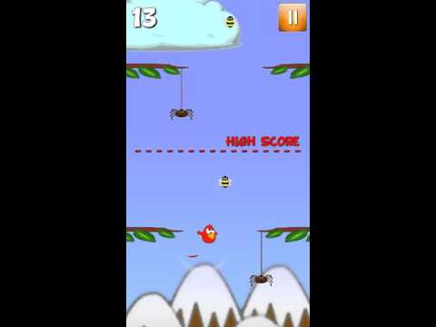 Save the Birds!