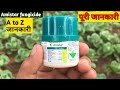 Amistar Fungicide Amistar Syngenta की जानकारी Dailyvolgs Amistartop Syngenta Fungi
